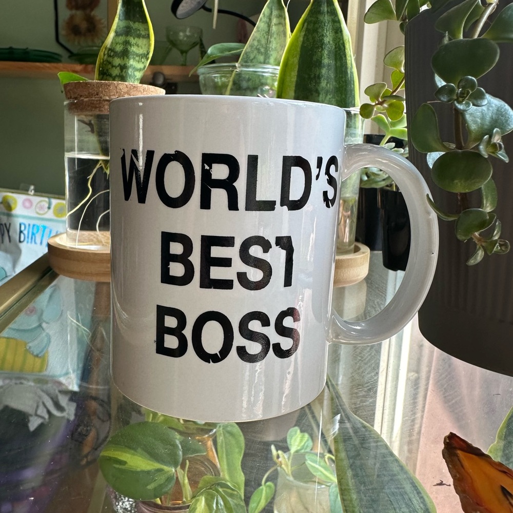 The Office “Worlds Best Boss” mug.